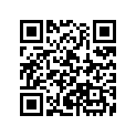 87565-MV9-921ZA Label (type13)