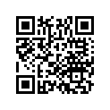 87615-MAJ-D60ZB Stripe,ls*type24*