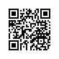 87N-77113-00-00 Ornament 4  Ur Blue