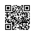 88110-MB6-010 Mirror, R.