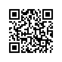 88110-MC5-004 Mirror, R.