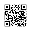 88110-MR5-013ZA Mirror, r. *nh251p*