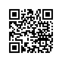 881504 O RING