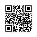882693001 PISTON