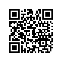 887337 WASHER