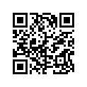 887810011 GASKET