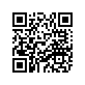 88H-77163-00-00 Ornament 1