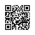88K-77595-20-00 FLAP