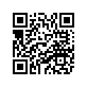 88T-77163-00-00 ORNAMENT 1