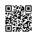 88T-77164-00-00 ORNAMENT 2