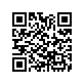 89010-001-000 Ключи