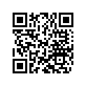89080001 Shim 8x18x0,15