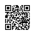 890833 Decal Set