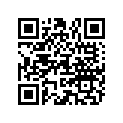 891815A04 DECAL SET