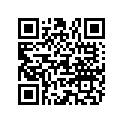 891817A04 DECAL SET
