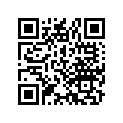 89216-259-010 Гаечный ключ свечной