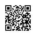 893795 Lh Decal 