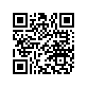 894228 Silent-block