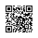 895106002 WASHER