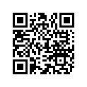 895154T10 SS BY -  12-895154T14 - GC 8/9.9 4S XL