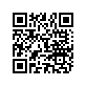 896332033 SHIM COMPENSATION