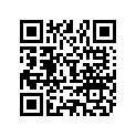 896332039 SPACER