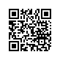 896332056 SPACER