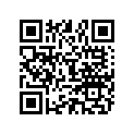 896332077 O RING