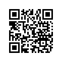 896332130 WASHER