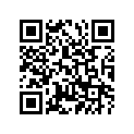 898-24730-00-00 DOUBLE SEAT ASY
