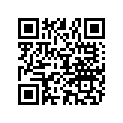 898101129 O RING
