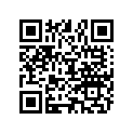 898101131 O RING