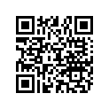 898101133 O RING