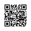 898101141 BOOT