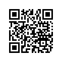 898101145 O RING