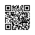 898101249 O RING