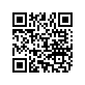 898101250 O RING