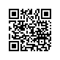 898101307 WASHER