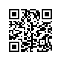 898101627 LEVER