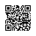 898103T39 LEVER