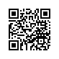 89E-77163-00-00 Ornament 1