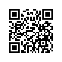 89E-77164-00-00 Ornament 2