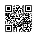 89K-77163-00-00 Ornament 1  Ur For Bbm2