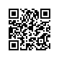 89M-77164-00-00 Ornament 2