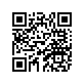 89V-77164-00-00 Ornament 2