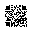 89X-77169-01-00 Ornament 3