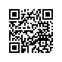 8AN-77163-00-00 Ornament 1