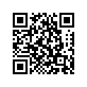 8AN-77164-00-00 Ornament 2