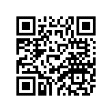 8BD-77164-30-00 ORNAMENT 2