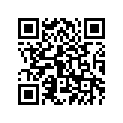 8BE-77163-40-00 Ornament 1